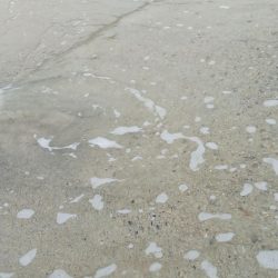 今日も１パイだけ